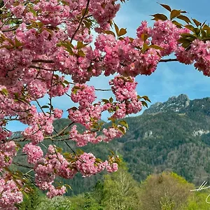 Kampenwand Aschau im Chiemgau